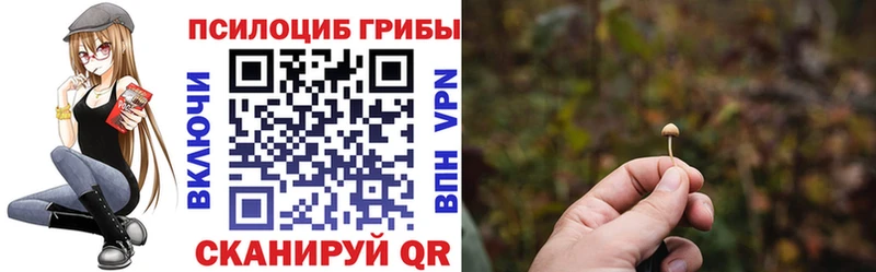 Псилоцибиновые грибы GOLDEN TEACHER  сколько стоит  Иноземцево 